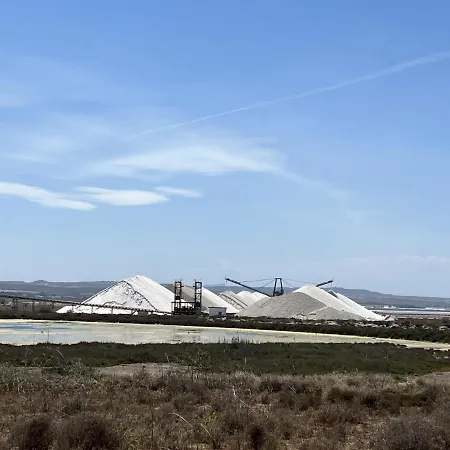 公寓 Luxurious 2 Bed Penthouse Atico 托雷维耶哈